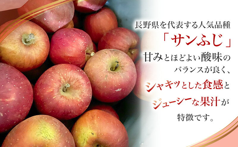 【ふるさと納税】【先行予約】【訳あり・家庭用】長野県産 サンふじ 約5kg りんご リンゴ 不揃い 味は問題なし 家庭用 季節のフルーツ 果物 長野県 信州　お届け：2026年12月中旬～2027年1月中旬まで f202037-ueda-10002486 長野県上田市 サンプル画像3