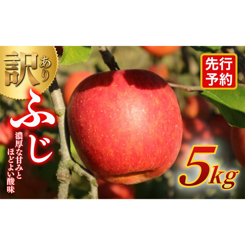 【ふるさと納税】【★先行予約】【訳あり】長野県産りんご（サンふじ）5kg 家庭用 見た目にワケあり 味はそのまま 林檎 果物 長野県 上田 信州　お届け：2027年1月中旬～2月中旬まで