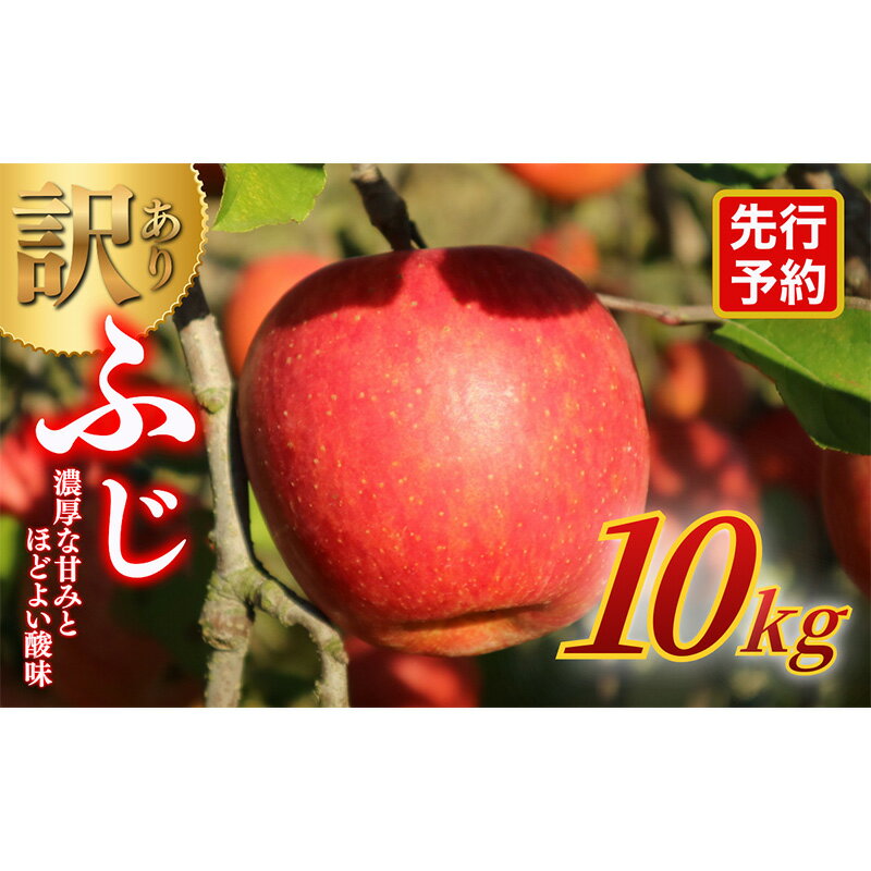 【ふるさと納税】【★先行予約】【訳あり】長野県産りんご（サンふじ）10kg 家庭用 見た目にワケあり 味はそのまま 林檎 果物 旬のフルーツ 長野県 上田 信州　お届け：2027年1月中旬～2月中旬まで