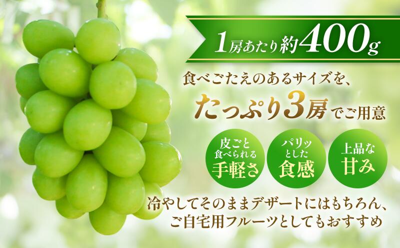 【ふるさと納税】【★先行予約】【訳あり】長野県産シャインマスカット 約400g×3房 見た目にワケあり 味はそのまま 果物 旬のフルーツ 長野県 上田 信州　お届け：2026年9月下旬～10月下旬まで