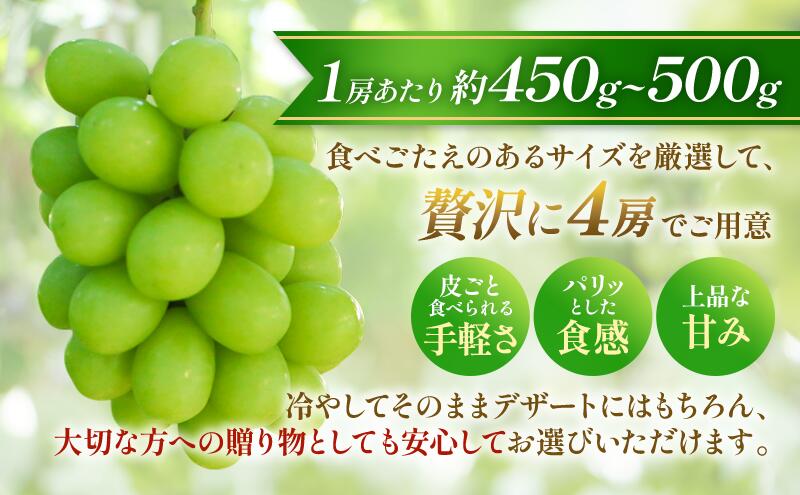 【ふるさと納税】【★先行予約】【逸品】長野県産シャインマスカット 約450～500g×4房 贈答品対応可 果物 旬のフルーツ 長野県 上田 信州　お届け：2026年9月下旬～10月下旬まで