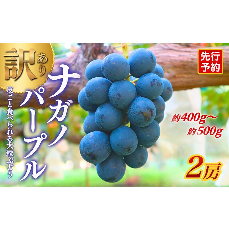 [★先行予約][訳あり]長野県産ナガノパープル 約400〜500g×2房 見た目にワケあり 味はそのまま 一粒が大きい 果物 旬のフルーツ 長野県 上田 信州 お届け:2026年9月上旬〜9月下旬まで