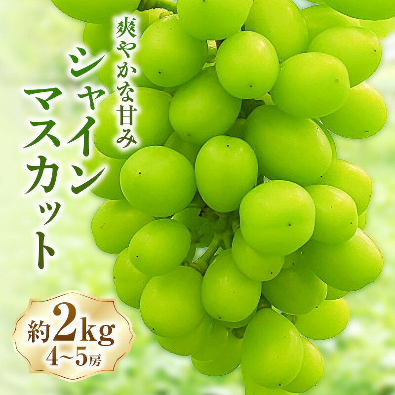 シャインマスカット約2kg(4〜5房) マスカット ぶどう 種なし 果物 上田市 お届け:2026年9月上旬〜10月下旬