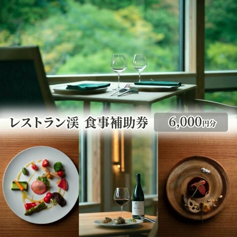 【ふるさと納税】レストラン渓 食事補助券 6,000円分 ギフト プレゼント 鹿教湯温泉 食事 観光 温泉