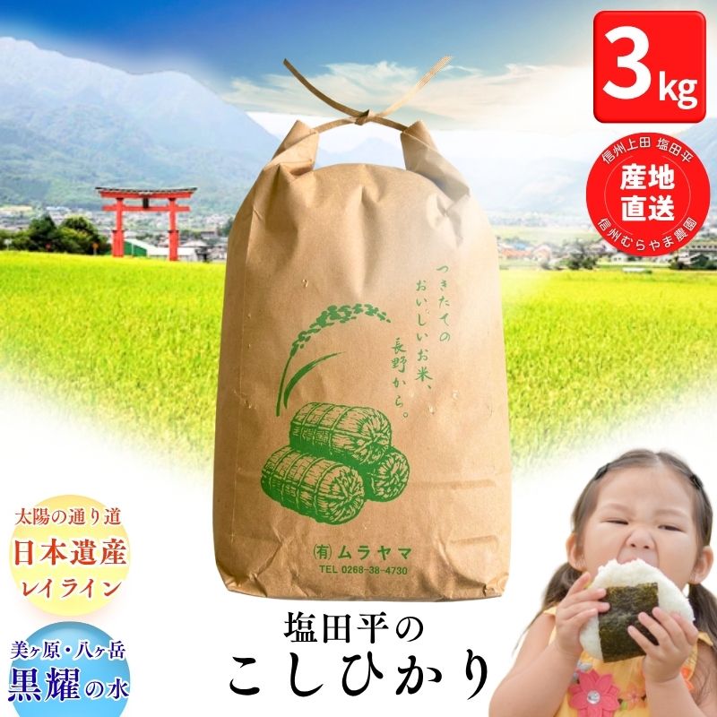 塩田平の「晴米」コシヒカリ3kg 米 お米 こしひかり 精米 上田市 お届け:2026年11月上旬〜2027年6月中旬