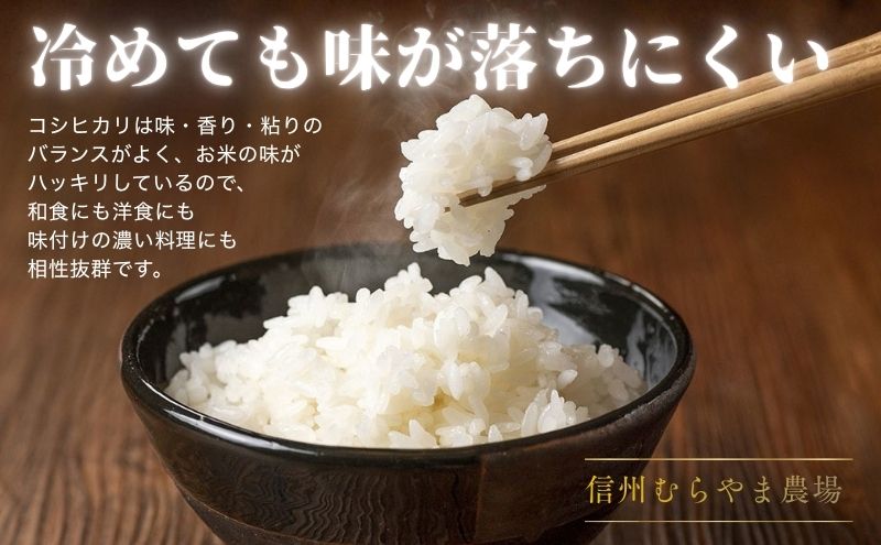 【ふるさと納税】こしひかり 米 3kg 5kg 塩田平の「晴米」 コシヒカリ こしひかり 精米　お届け：2026年11月上旬～2027年6月中旬 f202037-ueda-10002459 長野県上田市 サンプル画像2