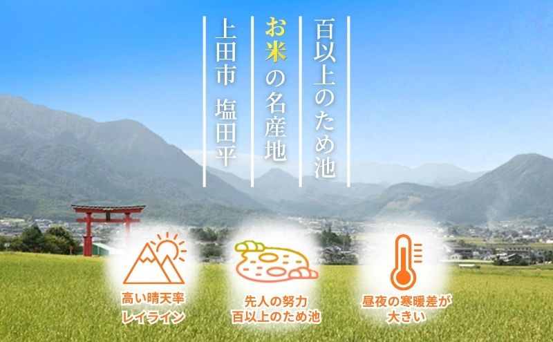 【ふるさと納税】こしひかり 米 3kg 5kg 塩田平の「晴米」 コシヒカリ こしひかり 精米　お届け：2026年11月上旬～2027年6月中旬 f202037-ueda-10002459 長野県上田市 サンプル画像3