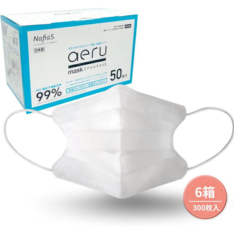 【ふるさと納税】【マスク】aerumask 6箱セット