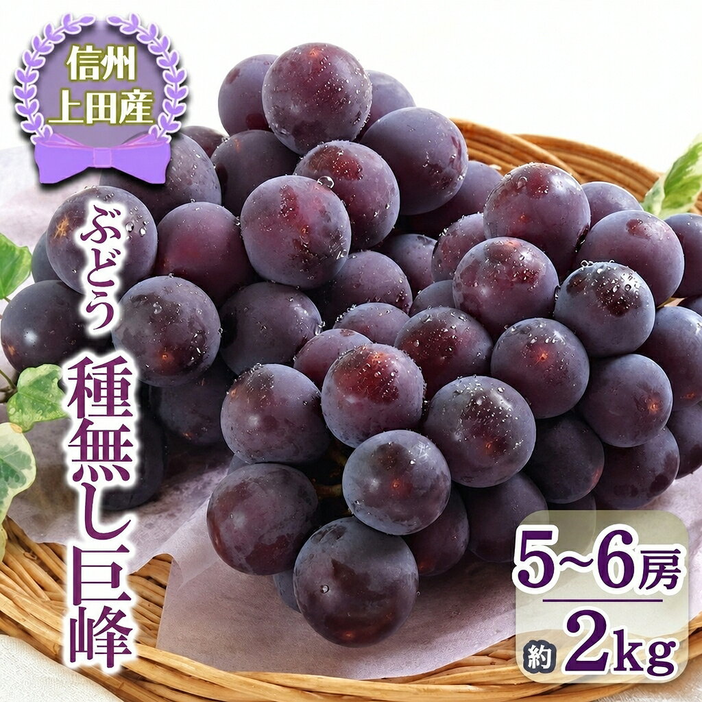 巨峰 約2kg 5〜6房 信州上田産 種なし巨峰 ぶどう 葡萄 ブドウ 種なし 果物 くだもの フルーツ デザート 旬の果物 旬のフルーツ 長野県 長野