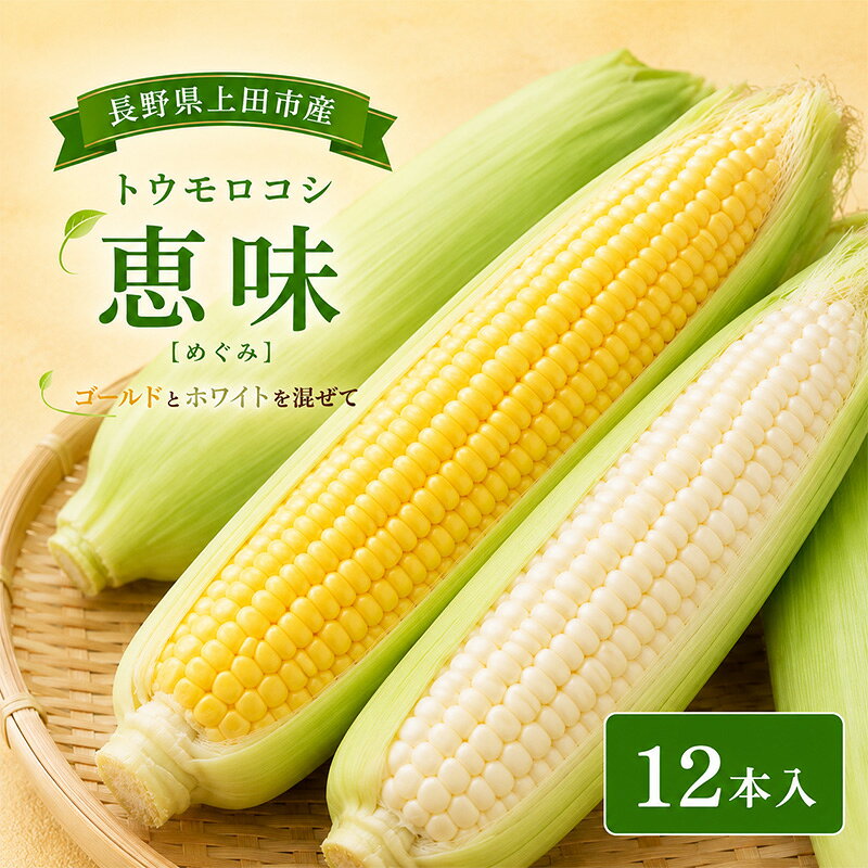 【ふるさと納税】トウモロコシ　12本入　(恵味) とうもろこし ゴールド ホワイト 野菜 信州 長野 上田市　お届け：2026年7月中旬～2026年10月下旬