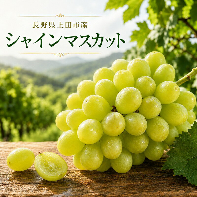 【ふるさと納税】シャインマスカット約1kg　お届け：2026年8月中旬～10月下旬まで