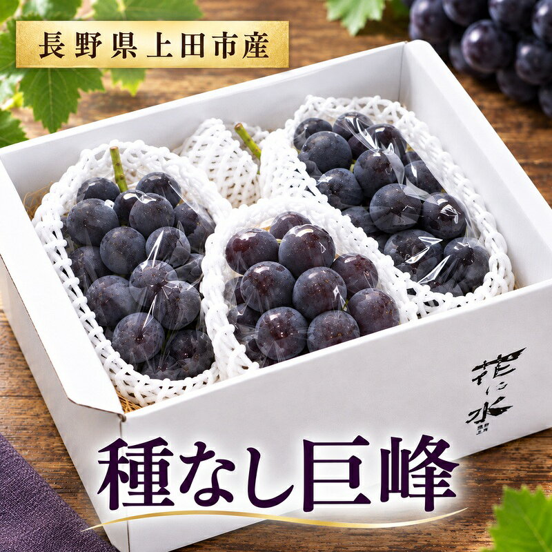 朝採り種なし巨峰 約1kg 2～3房入 お届け：2026年7月上旬～9月下旬