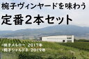 【ふるさと納税】035-006椀子ヴィンヤードを味わう定番2本セット※着日指定送不可