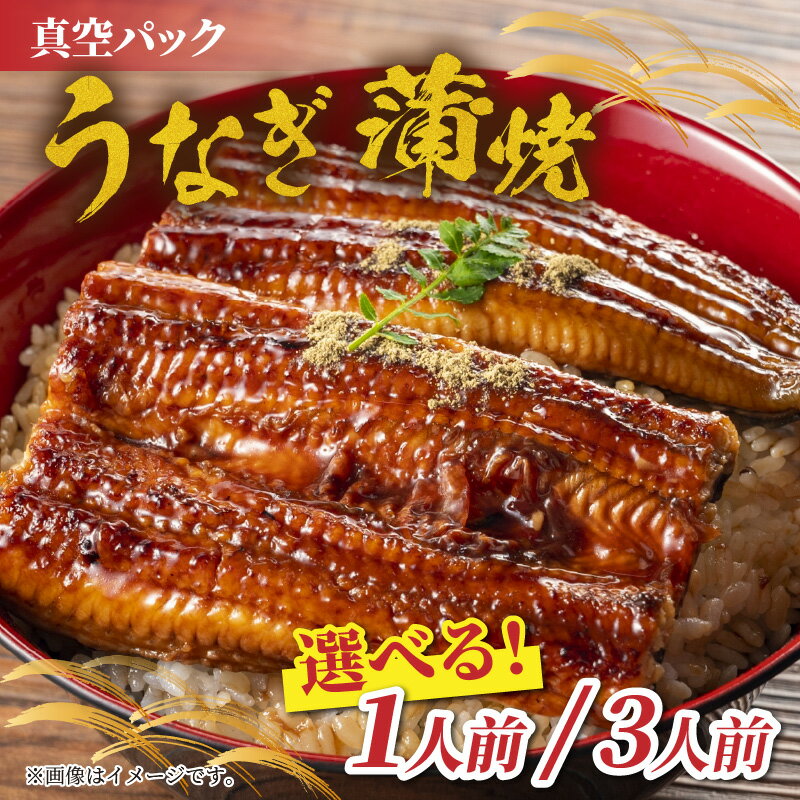 【ふるさと納税】うなぎの蒲焼（真空パック） | 鰻 ウナギ 土用丑の日 丑の日 かばやき 冷蔵 備長炭 炭火焼き 甘め