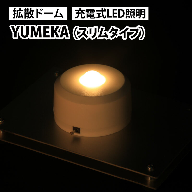 【ふるさと納税】YUMEKA（スリムタイプ） | 照明 LE