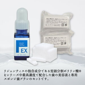 【ふるさと納税】薬用ポリリンホワイトEX19ml×1本 専用スポンジ歯ブラシ60個付きセット | はみがき 歯磨き 歯磨き粉