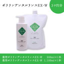 15位! 口コミ数「0件」評価「0」ポリリンデンタルリンスEX-W 3か月分 | はみがき 歯磨き 歯磨き粉