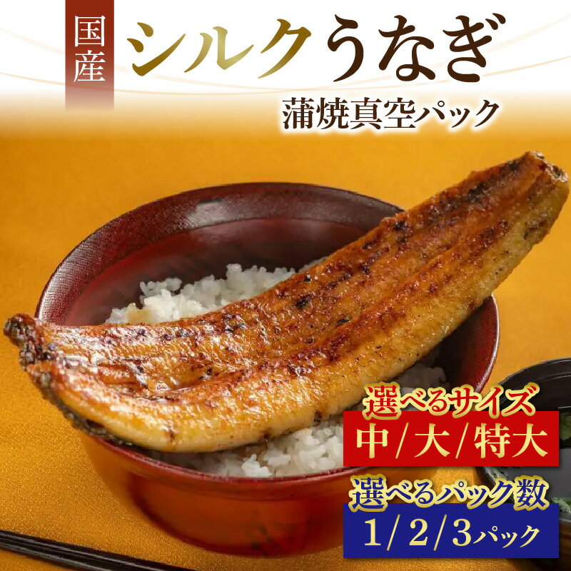 シルクうなぎ蒲焼真空パック | [やなのうなぎ観光荘] 鰻 ウナギ ブランド 丑の日 蒲焼き かば焼き 個包装 小分け クール便 冷蔵 国産 岡谷市 のし対応 時短調理