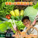【ふるさと納税】季節のお野菜6~8種セット | 野菜の詰め合わせ 野菜セット セット商品 旬 新鮮 産地直送 とうもろこし レタス キャベツ 人参 ナス ジャガイモ トマト 大根 里芋 野沢菜 サツマイモ きゅうり ピーマン カブ 玉ねぎ ほうれん草 春野菜 夏野菜 秋野菜 冬野菜