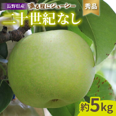 滴る程にジューシー 長野県産 なし(二十世紀) 約5キロ 秀品[2024年8月下旬〜9月末発送]