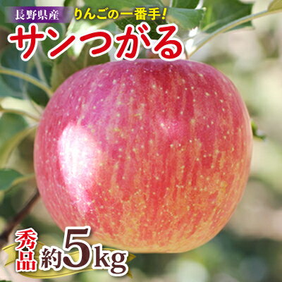 りんごの一番手! 長野県産 りんご(サンつがる)約5kg 秀品〈2024年9月上旬～9月中旬発送〉【1077090】