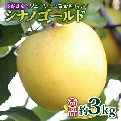 ジューシーな黄金色りんご(シナノゴールド) 約3kg 秀品＜2024年10月下旬～11月末発送＞【1078095】