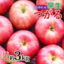 11位! 口コミ数「0件」評価「0」【長野県産】早生りんご(つがる)約3kg 秀品＜2024年9月上旬～9月中旬発送＞【配送不可地域：離島】【1078099】