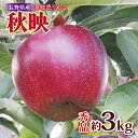 芳醇な香り長野県産・深紅色りんご(秋映) 約3kg 秀品＜2024年9月下旬～10月中旬発送＞