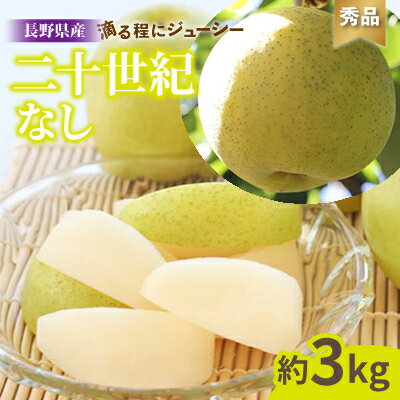 滴る程にジューシーな梨 長野県産 なし(二十世紀) 約3kg 秀品[2024年8月下旬〜9月末発送]