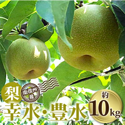 【ふるさと納税】南信州産「梨」約10kg＜幸水・豊水＞【1080089】