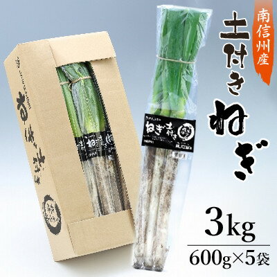 【ふるさと納税】【南信州産】土付きねぎ　3kg(600g×5袋)【1227930】