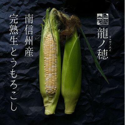 【ふるさと納税】南信州産 完熟生とうもろこし 約3kg(6本～8本)【配送不可地域：離島】【1511502】