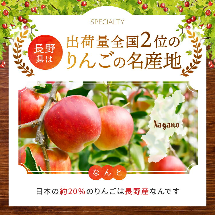 【ふるさと納税】シードル 3本 セット | 太陽農場 シードル 酒 自社栽培 りんご 甘口 辛口 セット ギフト 贈り物 プレゼント 飲み比べ 長野県 飯田市