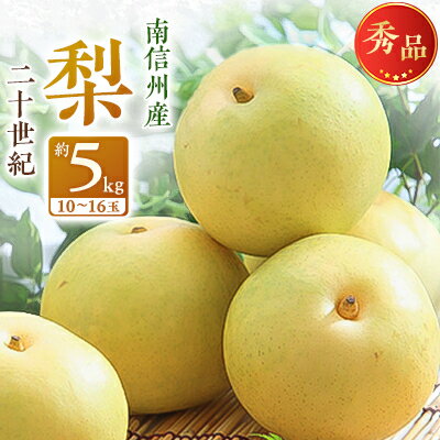 【ふるさと納税】【南信州産】二十世紀　約5kg　秀品【130