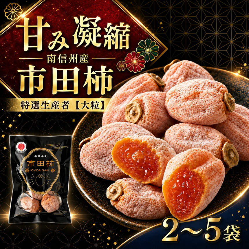 【ふるさと納税】【特選生産者】 南信州産 市田柿 【 大粒 】 200g 【選べる】 2～5袋 | マルス信濃物産 ★12/15までのお申し込みで 年内発送 ★ 果物 くだもの フルーツ 柿 かき 市田柿 長野県 信州 南信州 飯田市