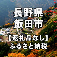 楽天ふるさと納税　【ふるさと納税】長野県飯田市への寄付（返礼品はありません）