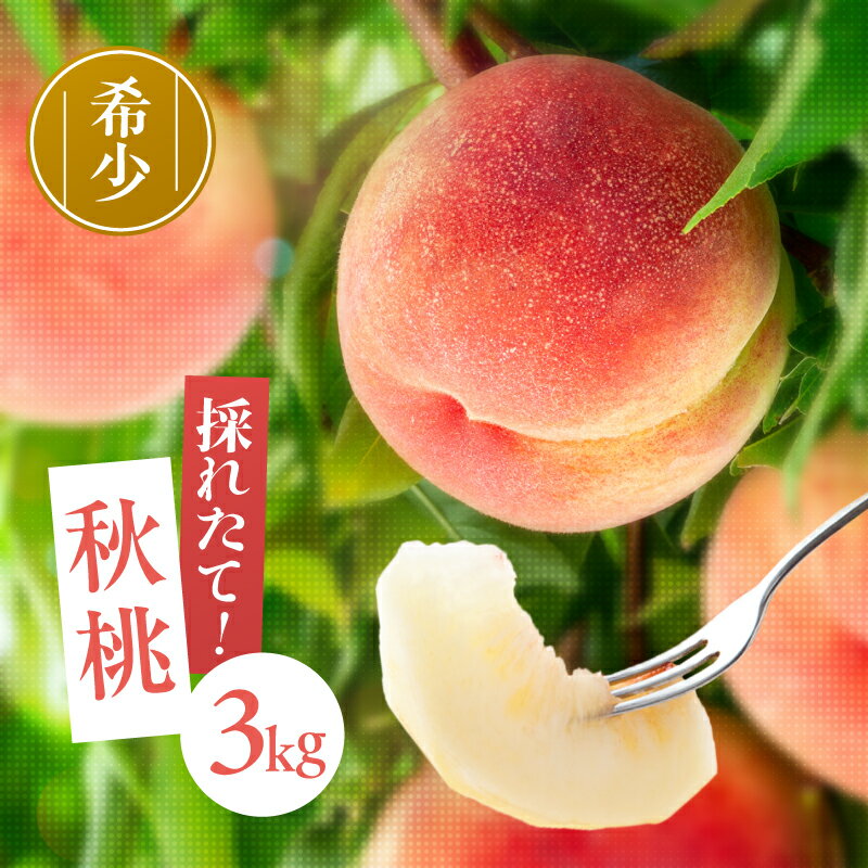 【ふるさと納税】 南信州産 秋桃 白桃 約3kg | 果物 くだもの フルーツ 柿 桃 もも 白桃 秋桃 ジューシー 長野県 信州 南信州 飯田市 H20