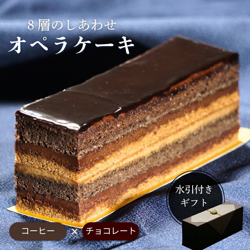 【ふるさと納税】8層の味わい コーヒーチョコ オペラケーキ| チョコレート ケーキ コーヒー スイーツ お菓子 洋菓子 おやつ ギフト プレゼント 贈り物 冷凍 長野県 飯田市 信州のサムネイル