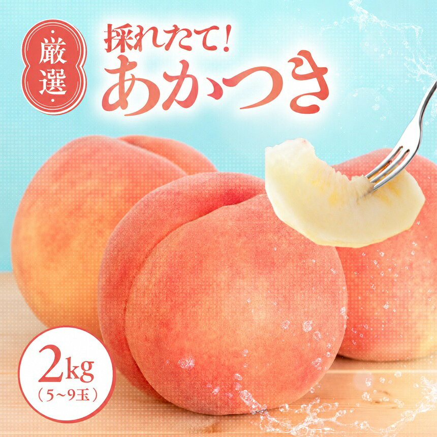 [7月下旬より順次発送]南信州産「桃」あかつき 約2kg 5〜9玉 | 果物 くだもの フルーツ 桃 モモ もも あかつき 新鮮 長野県 信州 南信州 飯田市