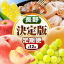 【ふるさと納税】 飯田市 定期便【決定版】| フルーツ 果物 お菓子 スイーツ 肉 焼肉 干し柿 市田柿 野菜 とうもろこし 桃 梨 りんご シャインマスカット 信州 詰め合わせ セット 定期 長野県 飯田市