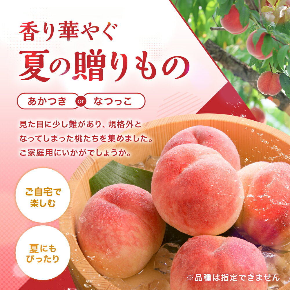 【ふるさと納税】南信州産 訳あり 桃 約3kg【2026年先行予約】 | あかつき なつっこ 果物 フルーツ 果実 桃 もも 完熟桃 訳あり わけあり 長野県 飯田市 信州