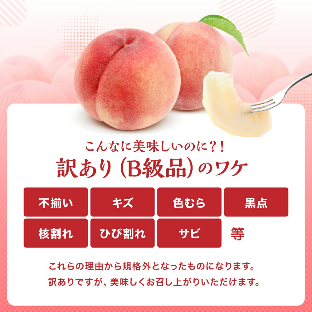 【ふるさと納税】南信州産 訳あり 桃 約3kg【2026年先行予約】 | あかつき なつっこ 果物 フルーツ 果実 桃 もも 完熟桃 訳あり わけあり 長野県 飯田市 信州