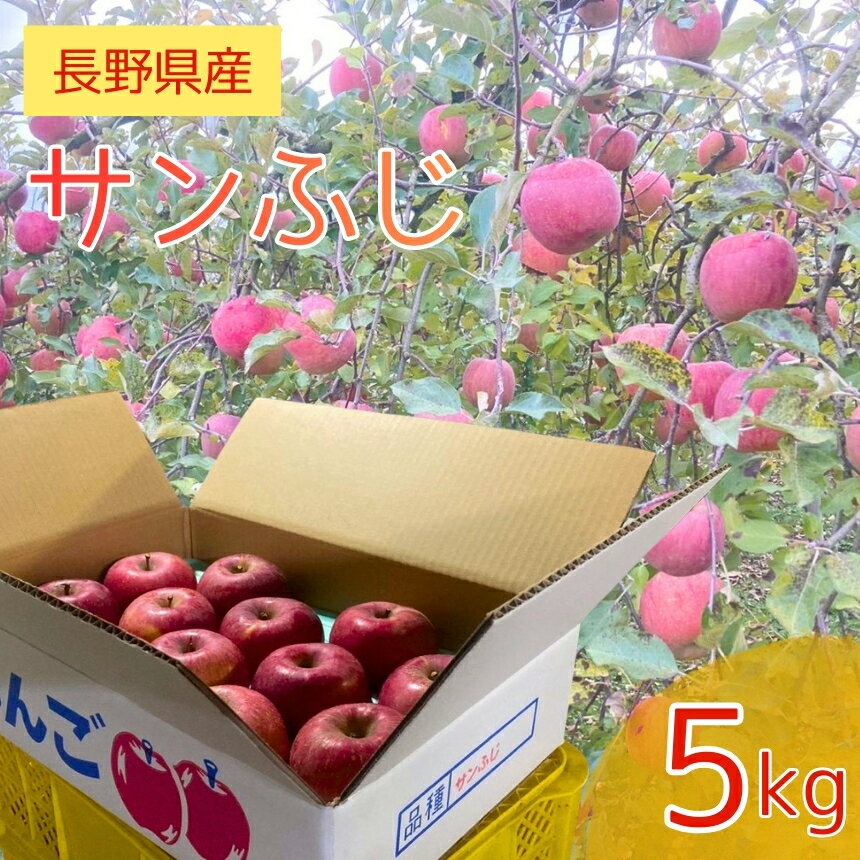 りんご 長野県産 サンふじ 約5kg 12個 〜 15個 入り | 信州りんご リンゴ ふじ さんふじ 南信州 長野県 飯田市