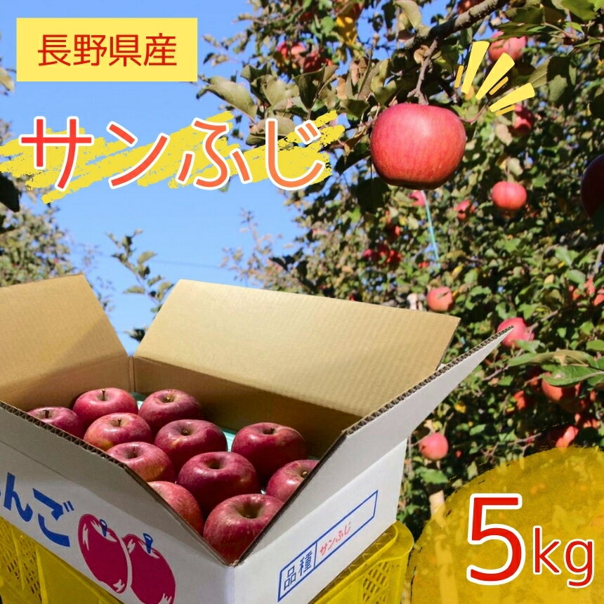 りんご 長野県産 サンふじ 約5kg 12個 〜 15個 入り | 信州りんご リンゴ ふじ さんふじ 南信州 長野県 飯田市