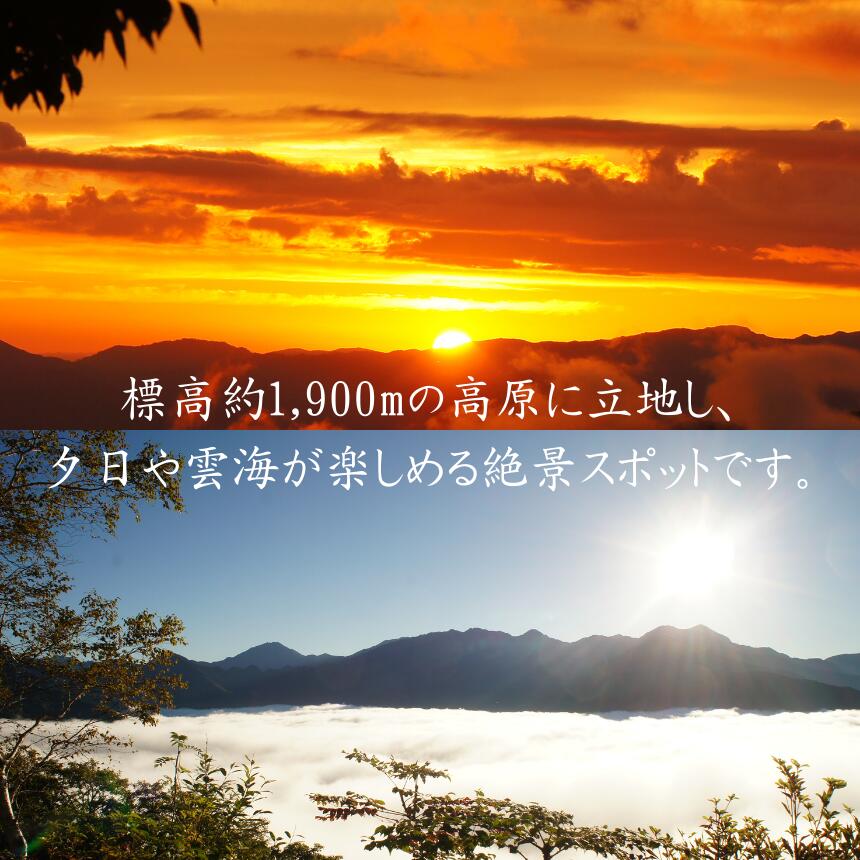 【ふるさと納税】しらびそ高原 ホテル 天の川 宿泊 ギフト 券【選べる金額】| 旅行 宿泊 観光 星空 聖地 ギフト 贈り物 ホテル 長野県 飯田市 f202053-iida-10001380 長野県飯田市 サンプル画像3