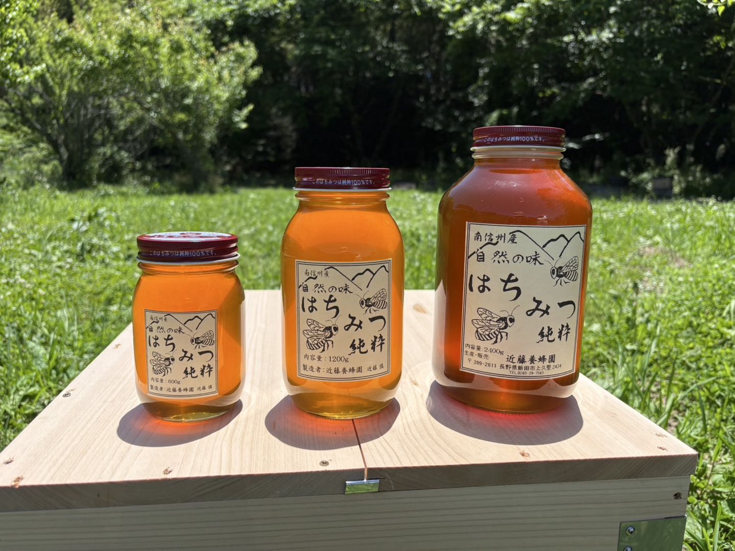【ふるさと納税】純粋 蜂蜜【長野県飯田市産】選べる容量 | 蜂蜜 はちみつ 養蜂 長野県 飯田市 信州