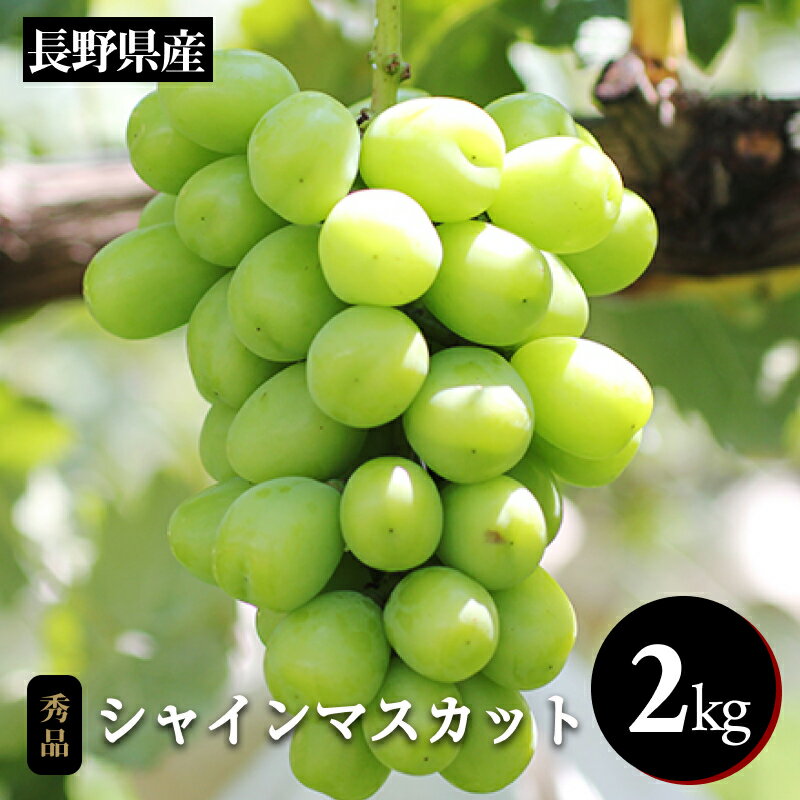 【ふるさと納税】ぶどう シャインマスカット 大人気! 長野県産 シャインマスカット 約2kg 秀品 〈2025年9月中旬〜11月上旬発送〉| 果物 くだもの フルーツ ぶどう ブドウ 葡萄 長野県 信州 南信州 飯田市 B36のサムネイル