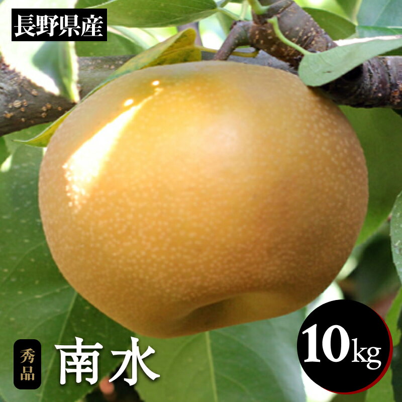 【ふるさと納税】梨 ナシ 南水 ジューシーで 甘い 梨 ! 長野県産 なし 南水 約10kg 秀品 〈2025年9月中旬〜10月中旬発送〉 | 果物 くだもの フルーツ 梨 なし 南水 長野県 信州 南信州 飯田市 B42のサムネイル