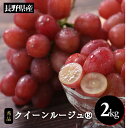【ふるさと納税】 ぶどう クイーンルージュ® 産地厳選! 長野県産 クイーンルージュ® 約2kg 秀品 〈2025年10月中旬旬~11月中旬発送〉 | 果物 くだもの フルーツ ぶどう ブドウ 葡萄 クイーンルージュ® 種なし 長野県 信州 南信州 飯田市 B40