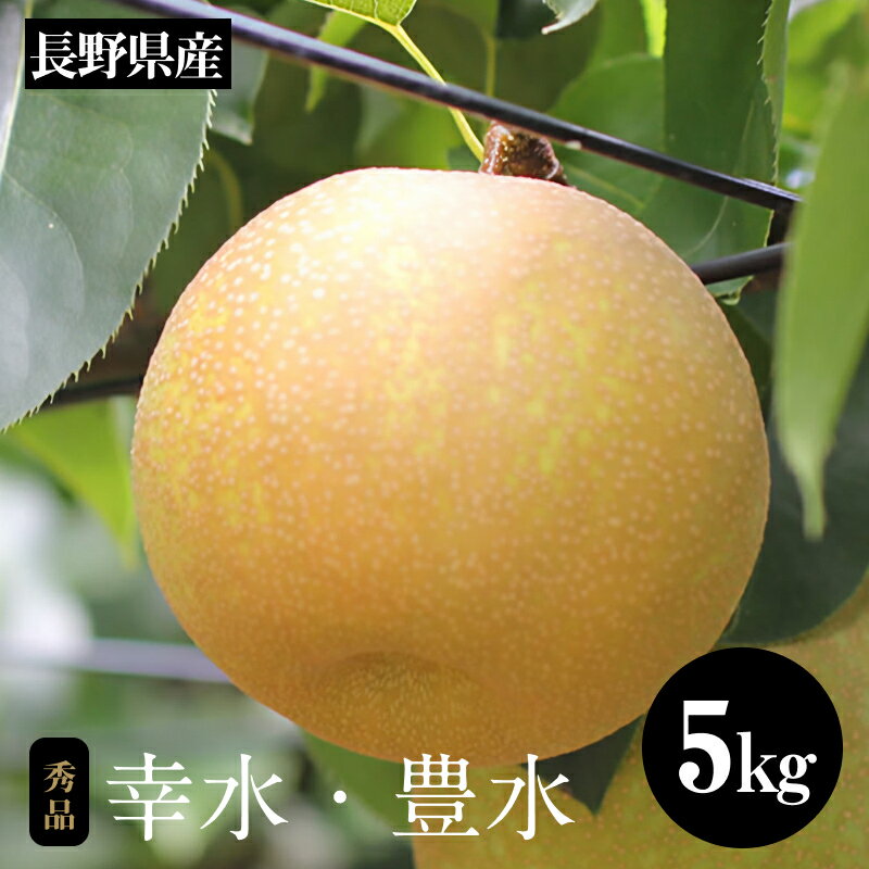 【ふるさと納税】長野県産 溢れる果汁 ジューシーな梨(幸水・豊水)約5キロ 秀品〈2025年8月下旬~9月下旬発送〉| 果物 くだもの フルーツ 梨 なし 幸水 豊水 長野県 信州 南信州 飯田市 B13